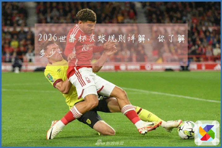 2026世界杯买球规则详解，你了解多少-