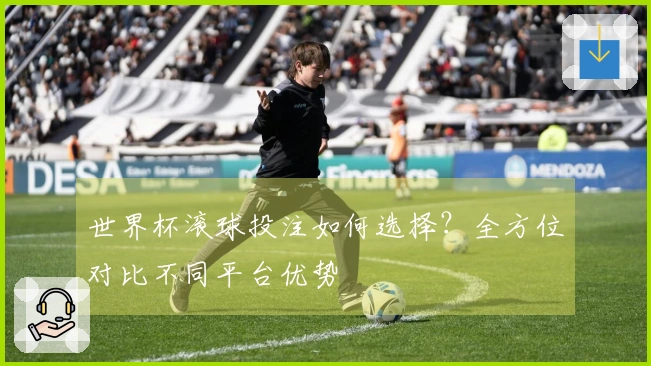世界杯滚球投注如何选择？全方位对比不同平台优势