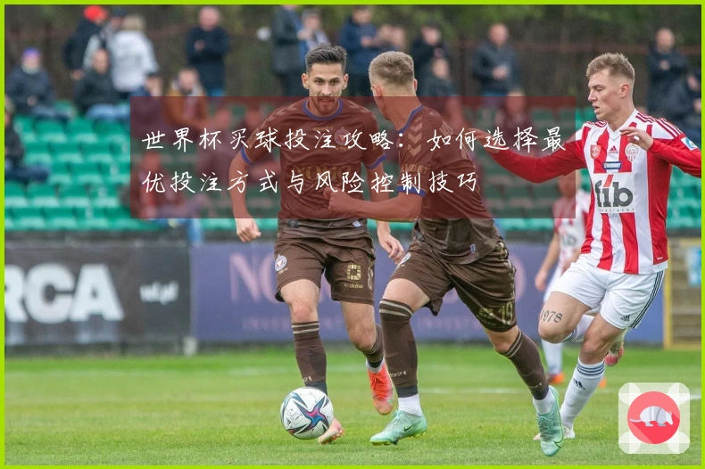 世界杯买球投注攻略：如何选择最优投注方式与风险控制技巧